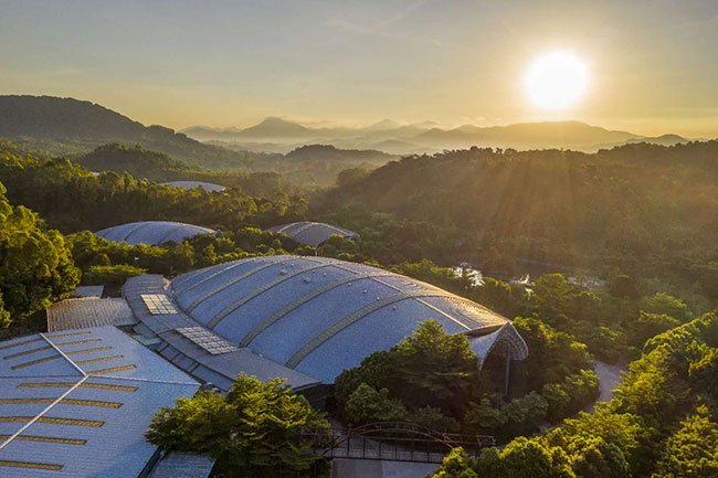 是什么样的工厂，，，，，吸引了杨逾越等顶流明星