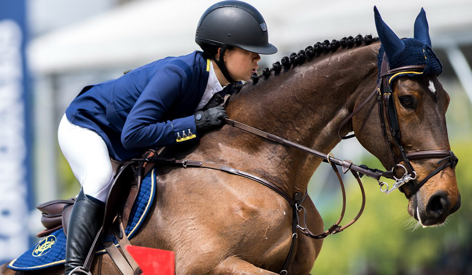 品质偕行，，，，，，，Blairquhan助阵2018上；；；；；＞偈缆硎豕诰猜淠