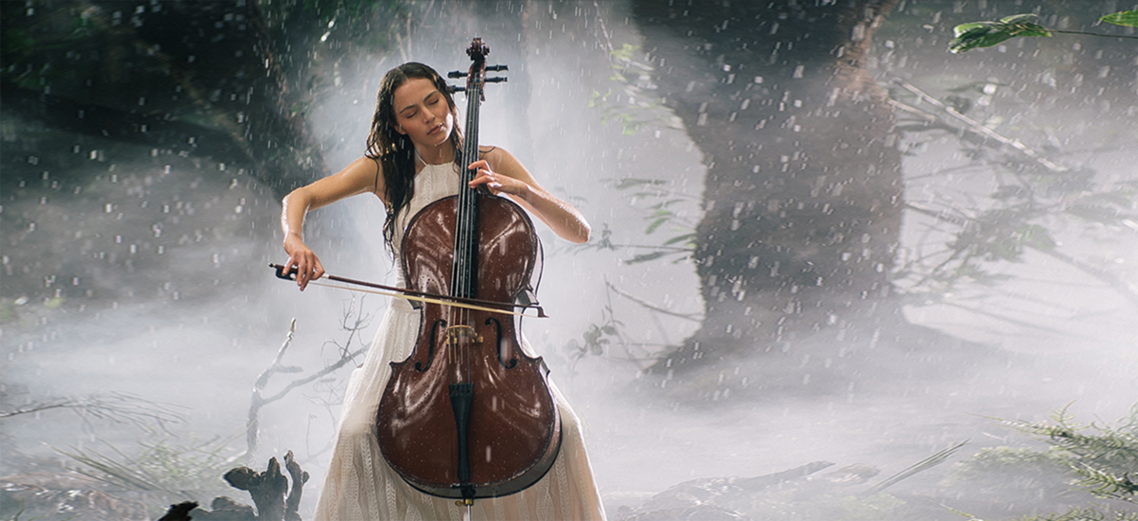 EVO真人(中文)官网