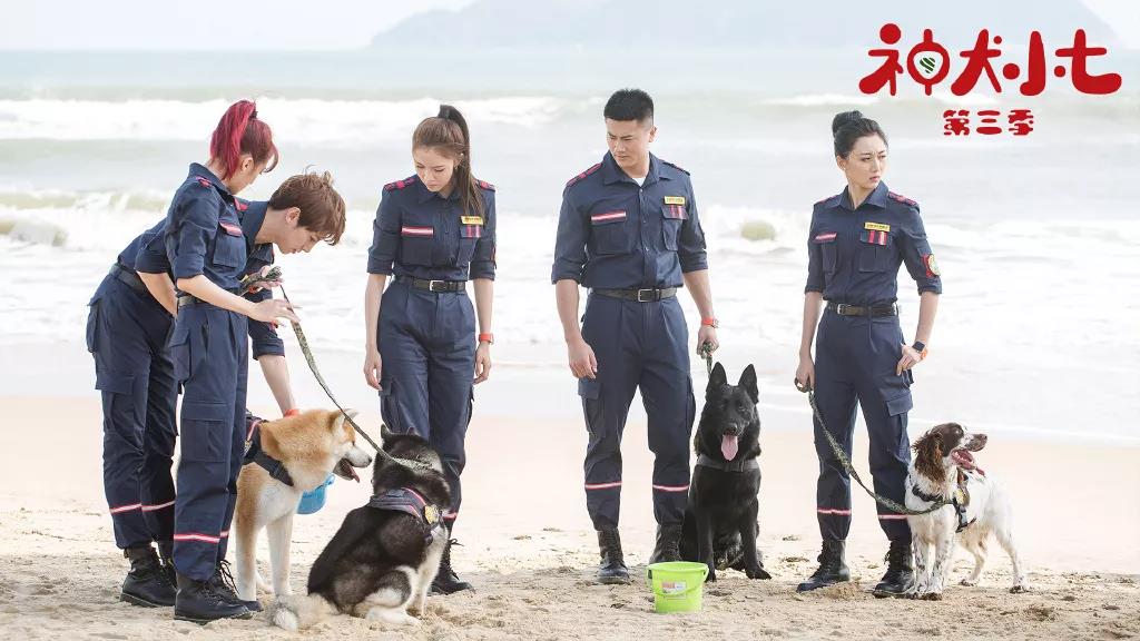 EVO真人(中文)官网