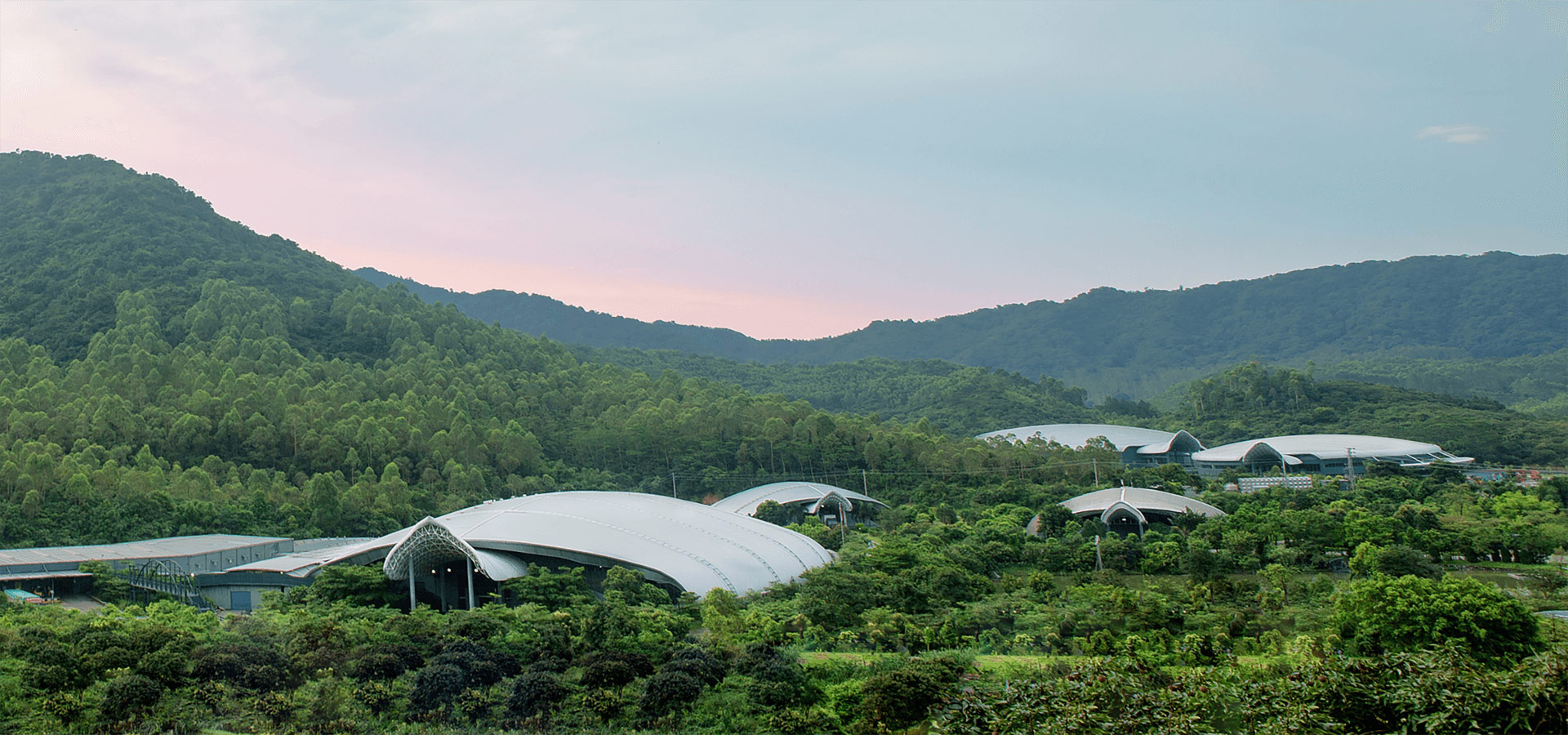 EVO真人(中文)官网