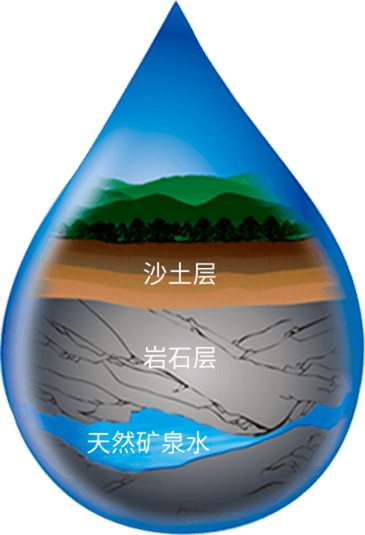 EVO真人(中文)官网