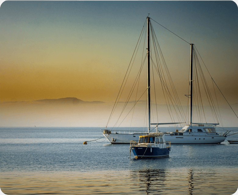 EVO真人(中文)官网