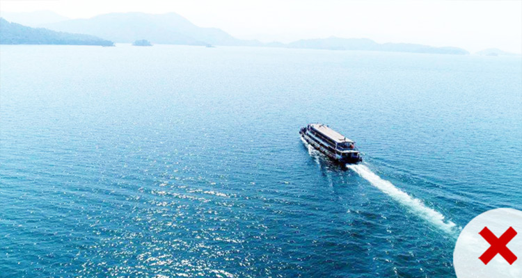 EVO真人(中文)官网