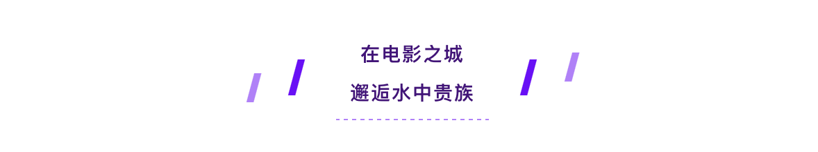 EVO真人(中文)官网